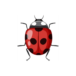 doclist_image