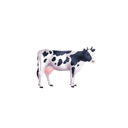 doclist_image