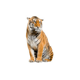 doclist_image