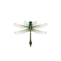 doclist_image
